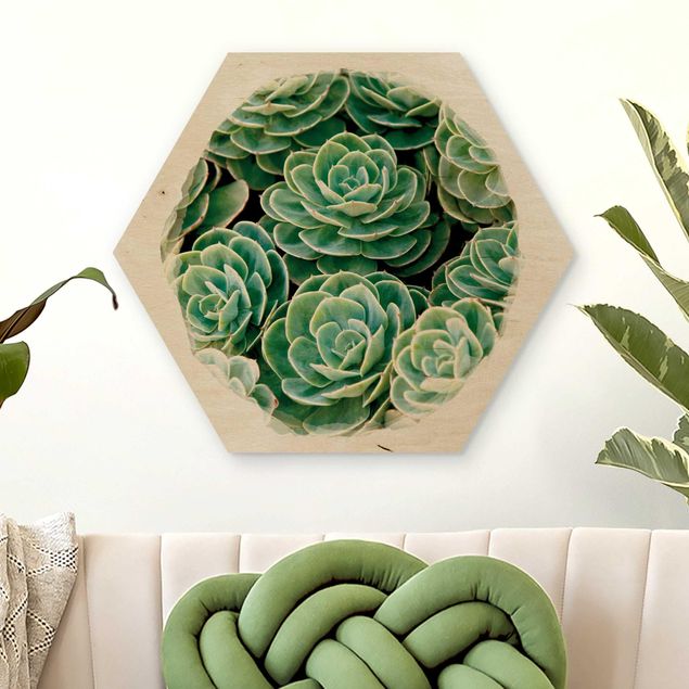 køkken dekorationer Water Colours - Green Succulents