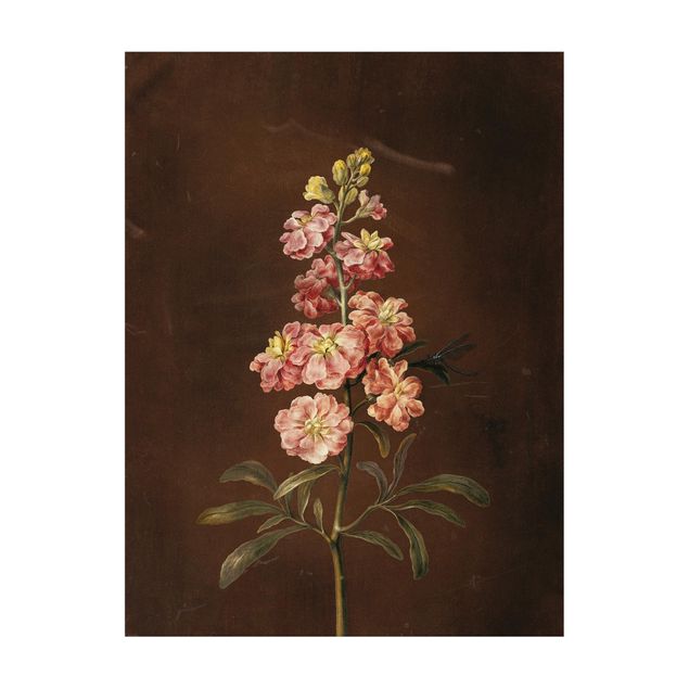 blomstret gulvtæppe Barbara Regina Dietzsch - A Light Pink Gillyflower