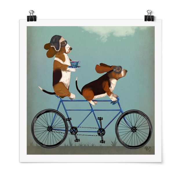 Billeder hunde Cycling - Bassets Tandem
