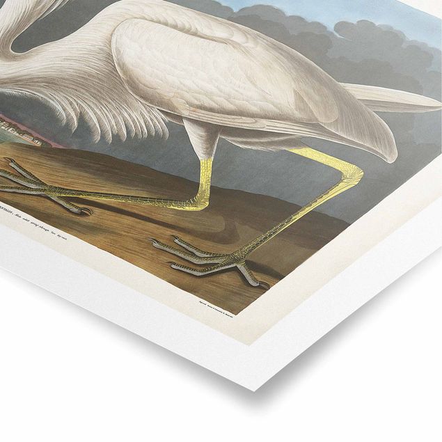 Billeder retro Vintage Board Great White Egret