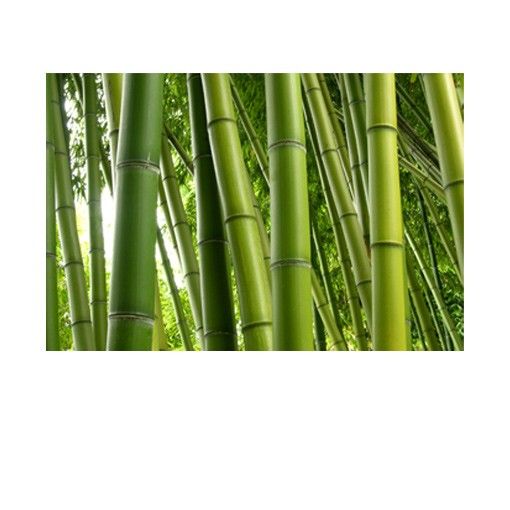 Selvklæbende folier Bamboo