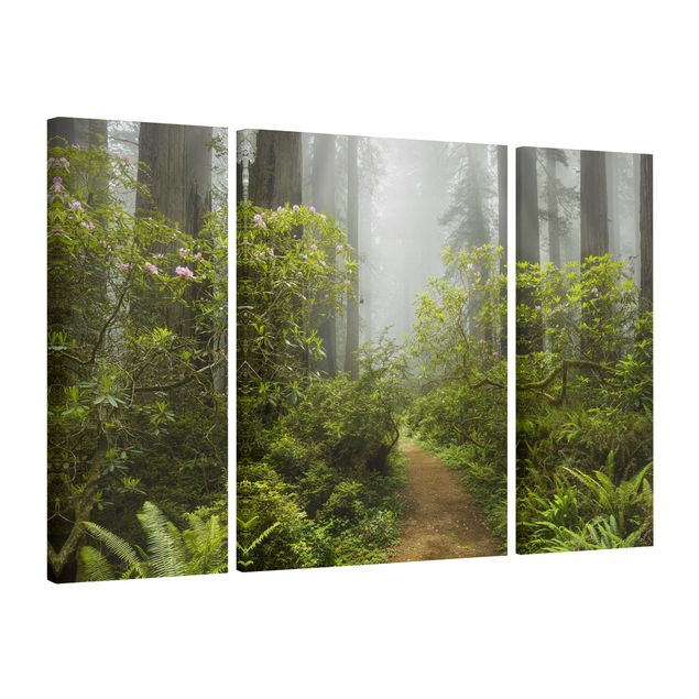 Billeder på lærred landskaber Misty Forest Path