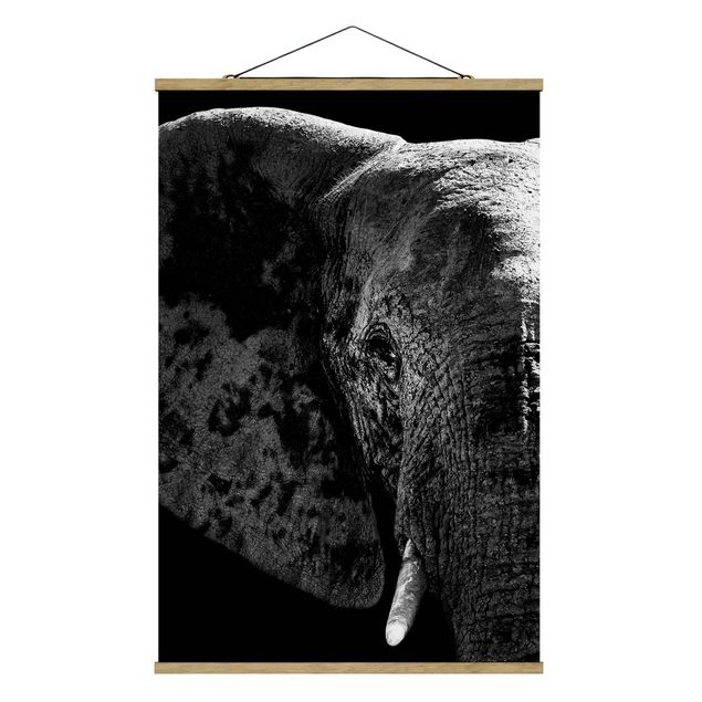 Billeder moderne African Elephant black and white