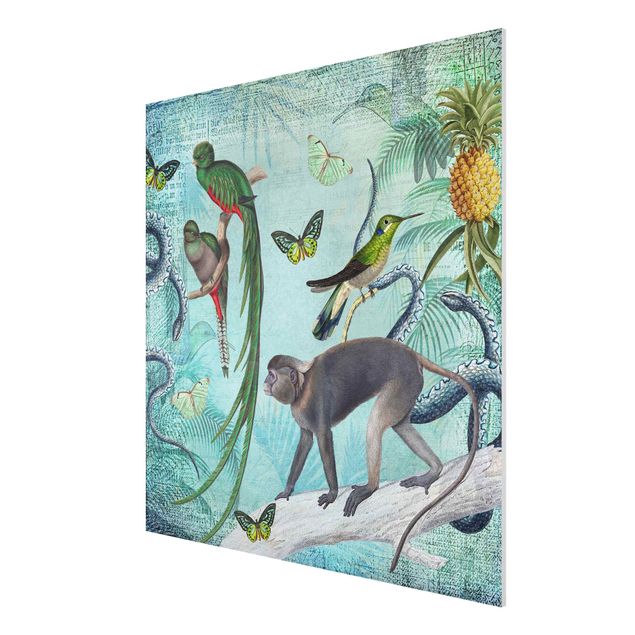 Billeder blomster Colonial Style Collage - Monkeys And Birds Of Paradise