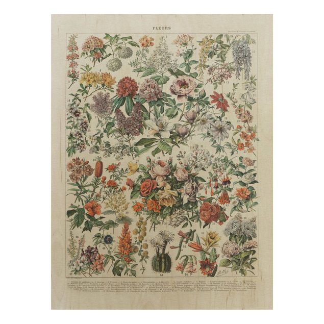 Prints på træ blomster Vintage Board Flowers II