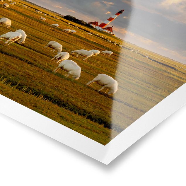 Plakater dyr North Sea Lighthouse With Flock Of Sheep