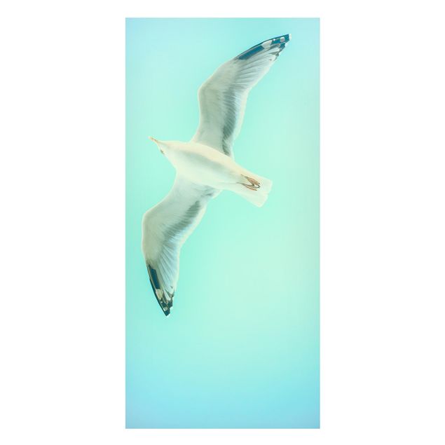 Magnettavler dyr Blue Sky With Seagull