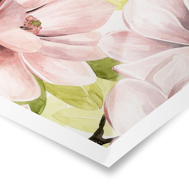 Billeder Magnolia Blushing II