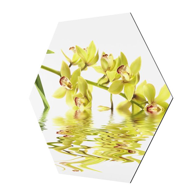 Billeder Elegant Orchid Waters