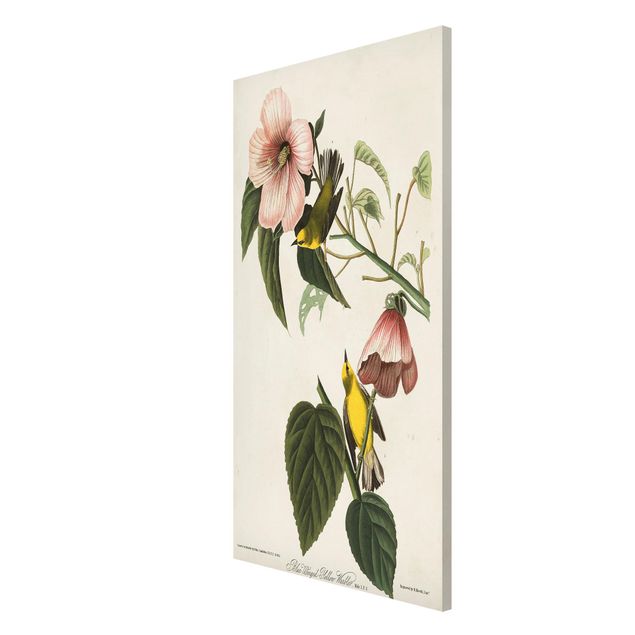 Billeder blomster Vintage Board Warbler II