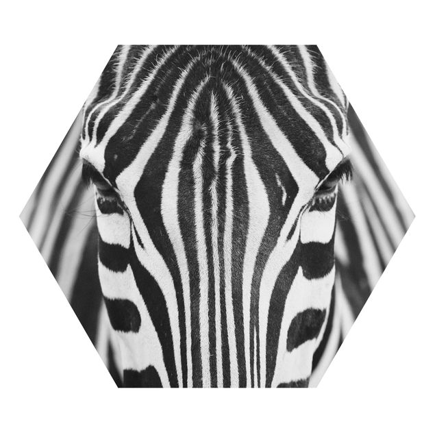 Billeder moderne Zebra Look