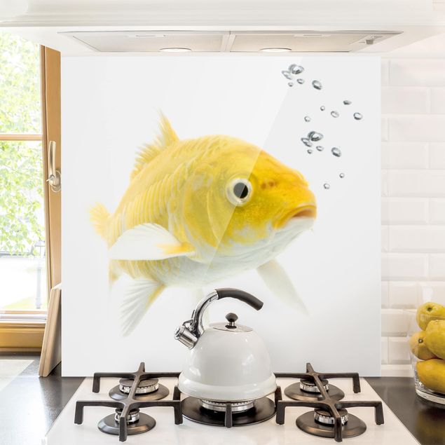 køkken dekorationer Goldfish Yellow