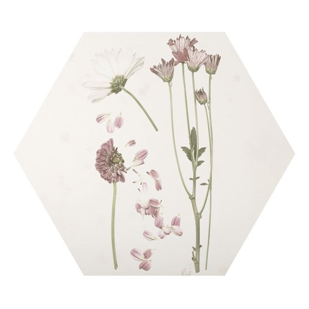 Billeder Herbarium In Pink II