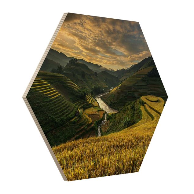 Sekskantede billeder Rice Plantations In Vietnam