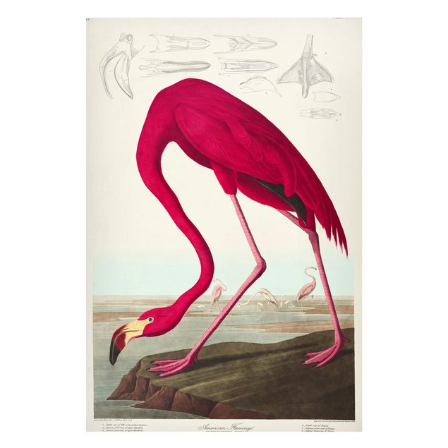 Magnettavler blomster Vintage Board American Flamingo