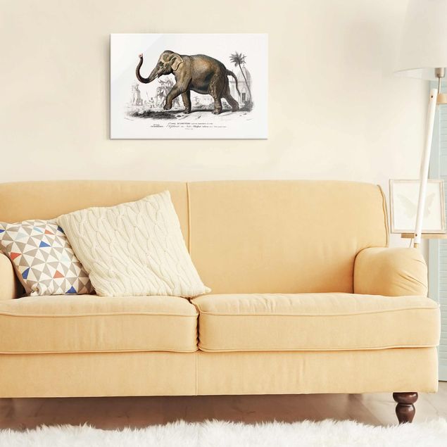 Billeder elefanter Vintage Board Elephant