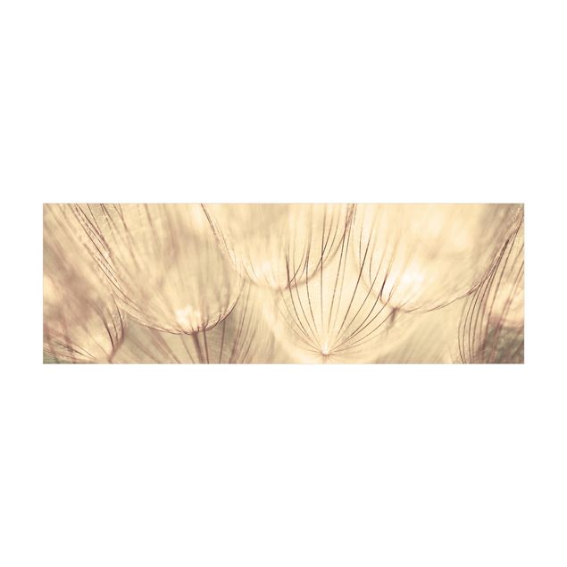 beige gulvtæppe Dandelions Close-Up In Cozy Sepia Tones