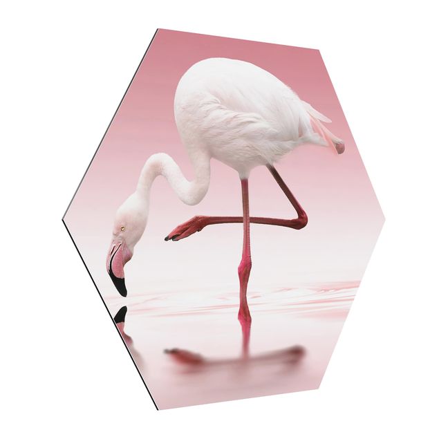 Billeder moderne Flamingo Dance