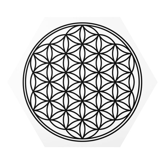 Forex Flower of Life