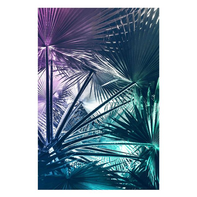 Billeder landskaber Tropical Plants Palm Leaf In Turquoise IIl