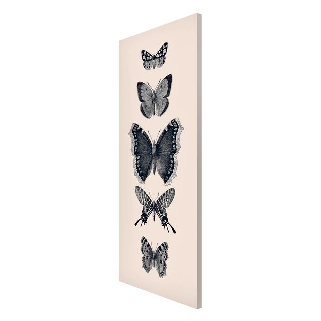 Magnettavler dyr Ink Butterflies On Beige Backdrop