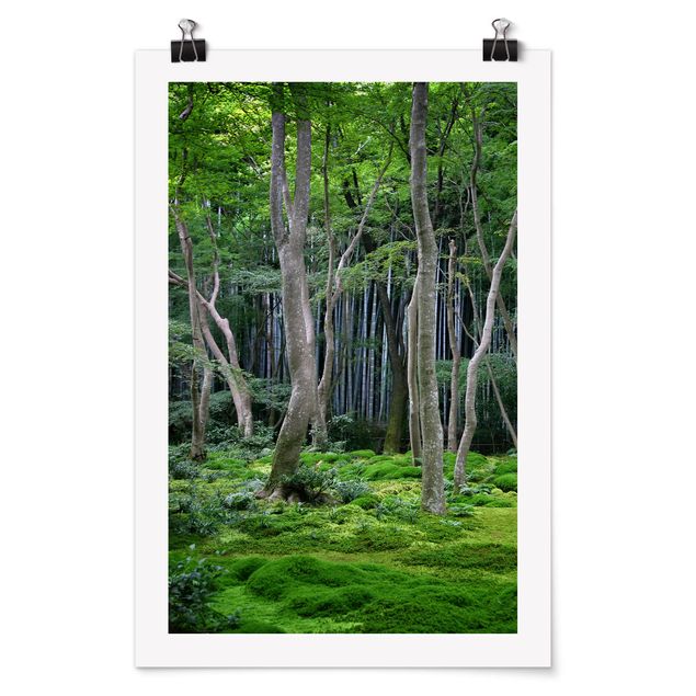 Plakater landskaber Japanese Forest