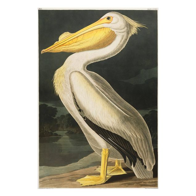 Magnettavler dyr Vintage Board White Pelican