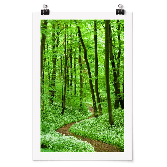 Plakater landskaber Romantic Forest Track