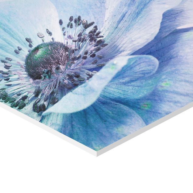 Sekskantede billeder Flower In Turquoise