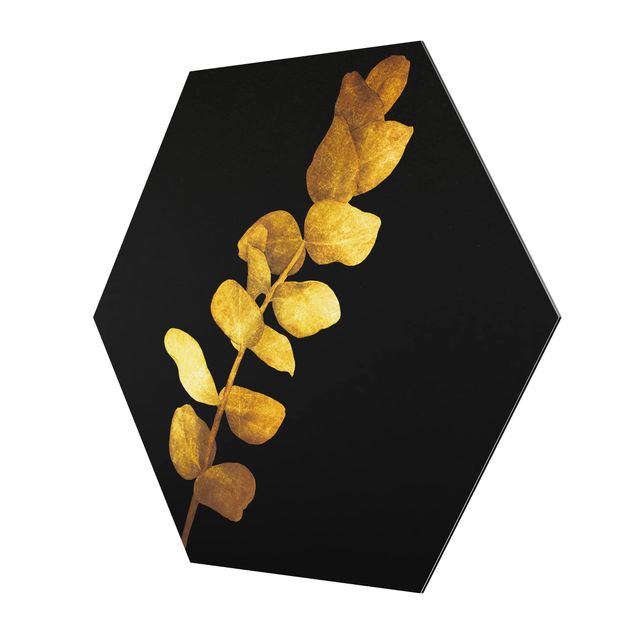 Sekskantede billeder Gold - Eucalyptus On Black