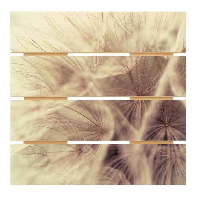 Billeder Detailed Dandelion Macro Shot With Vintage Blur Effect