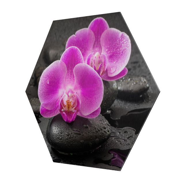 Billeder Uwe Merkel Pink Orchid Flower On Stones With Drops