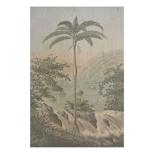 Prints på træ landskaber Vintage Illustration - Landscape With Palm Tree