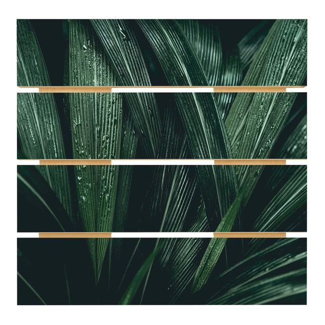 Prints på træ Green Palm Leaves