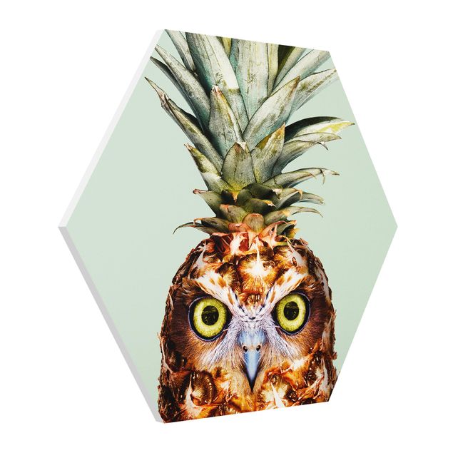 Billeder moderne Pineapple With Owl