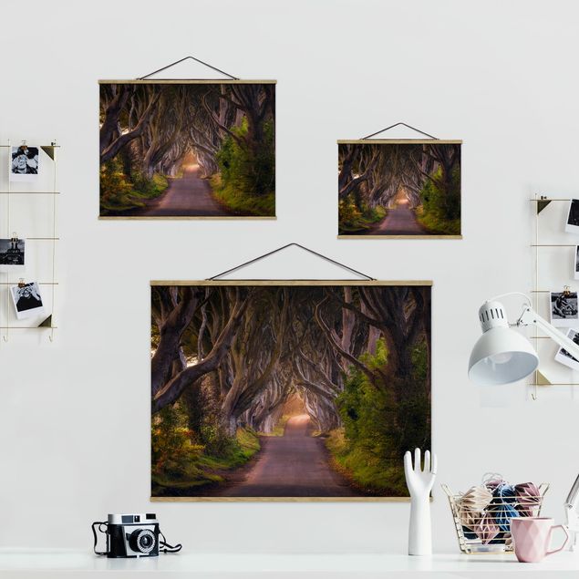Billeder moderne Tunnel Of Trees