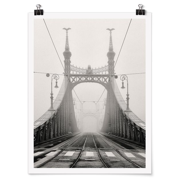 Billeder arkitektur og skyline Bridge in Budapest