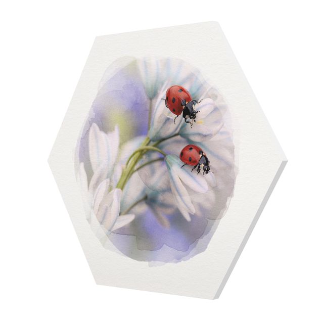 Billeder Water Colours - Ladybug Couple