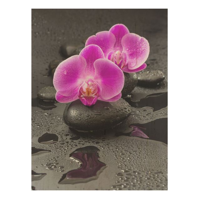 Prints på træ blomster Pink Orchid Flower On Stones With Drops