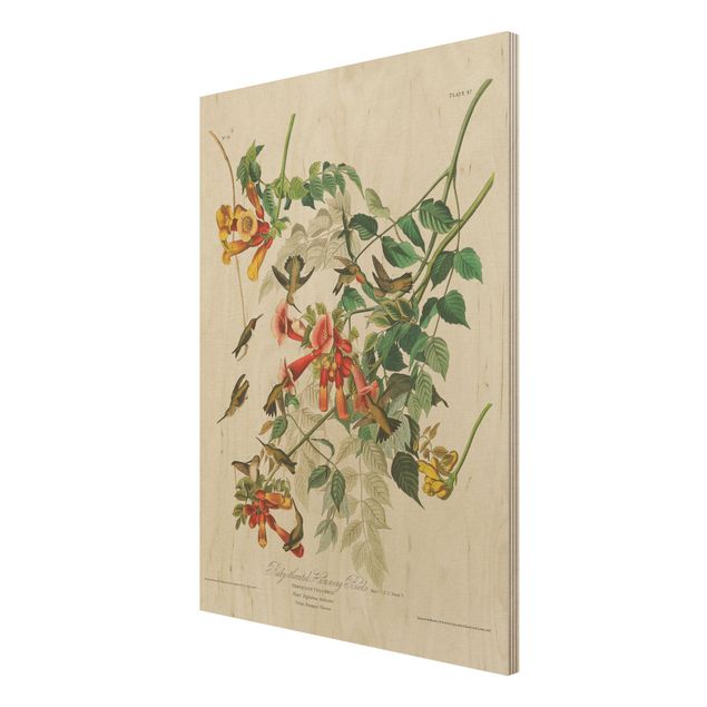 Prints på træ vintage Vintage Board Hummingbirds