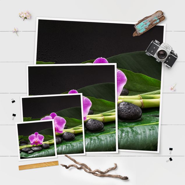 Billeder Uwe Merkel Green Bamboo With Orchid Flower