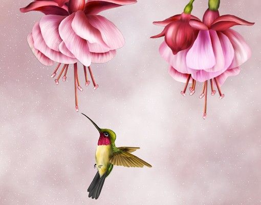 Selvklæbende folier Hummingbird