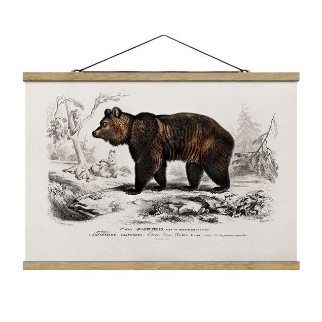 Billeder vintage Vintage Board Brown Bear