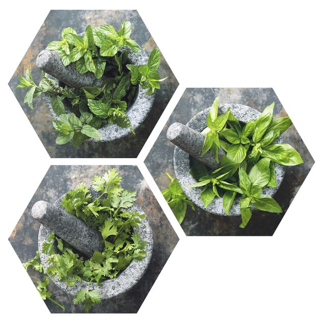 Forex Basil Mint Parsley In A Mortar