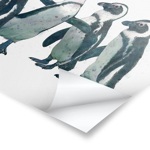 Billeder Illustration Penguins Black And White Watercolour