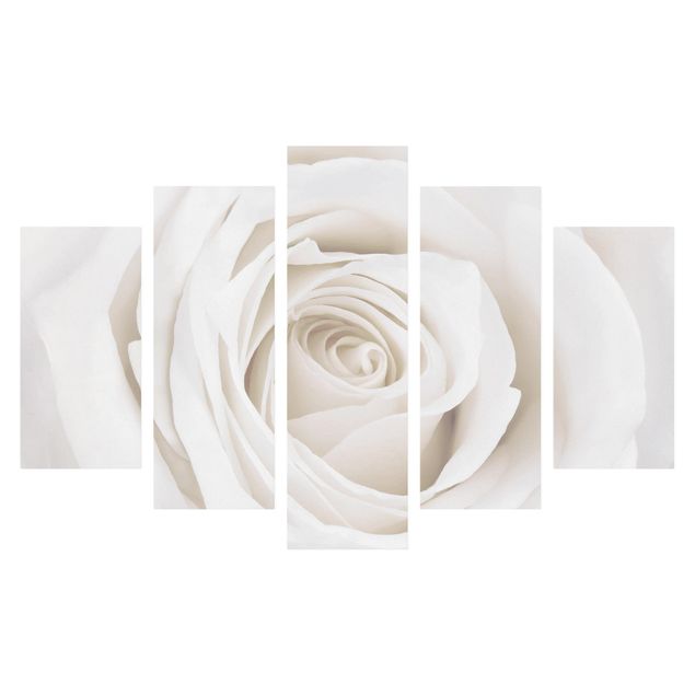 Billeder på lærred blomster Pretty White Rose