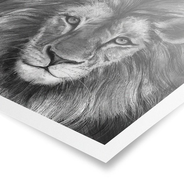 Plakater dyr Illustration Lion Monochrome Painting