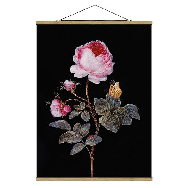 Billeder barok Barbara Regina Dietzsch - The Hundred-Petalled Rose