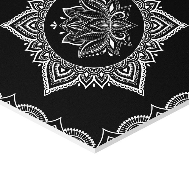 Billeder sort Lotus OM Illustration Set Black