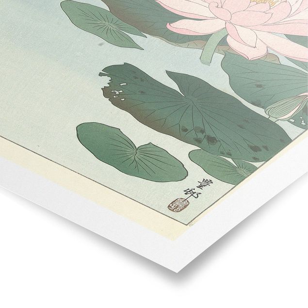 Plakater kunsttryk Ohara Shôson - Water Lilies